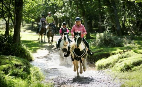 Horse Riding